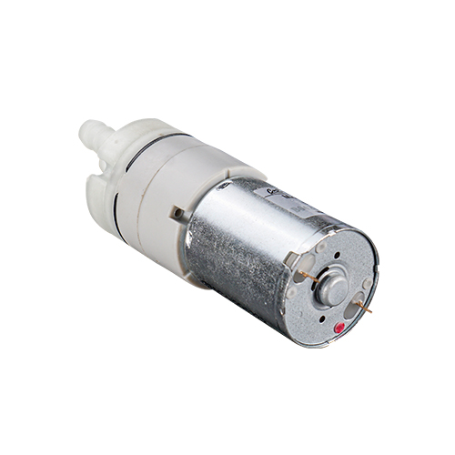  R40-02 Micro Pump